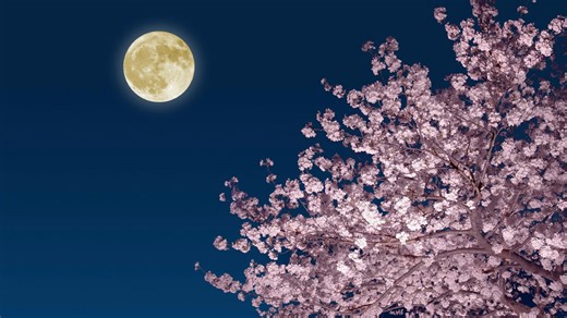 Moonlight colors: How to catch the full 'pink moon' in April followed by a 'blue moon' in May
