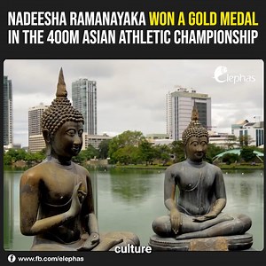 3.1K views · 96 reactions | Sri Lanka Travel Guide | Best Places To Visit Credit : Misk Travel Guide Did you see any videos about Sri Lanka? send them to us ! Let's show everyone ❤ If you have any issue with this video PLEASE CONTACT US FIRST through (email- slelephas@gmail.com) or DM us. #elephas #SriLanka #travel | Elephas | Facebook