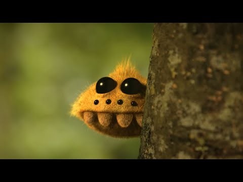 Fly Trap | Minuscule And Friends