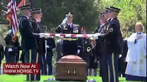 Uncover the vital role horses play in our society with TV series, "Helping Hooves". Explore the fascinating world of horses in the workplace, where their contributions range from empowering businesses to strengthening our military and police forces. Witness the remarkable ways these magnificent creatures, both big and small, impact our daily lives and society. Get ready for a journey of discovery, on Horse.TV! #HorseTV #HelpingHooves #HorsesAtWork #EquestrianLife #HorsePower #HorseTV #HorseTVSho