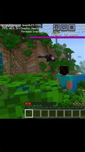 Ender dragon in Minecraft 💀