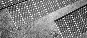 Junior Fellows Internship Programme