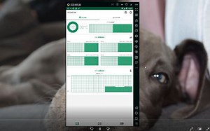 强力监测手机“cpu，ram”使用情况，随时清楚手机是否适合玩游戏