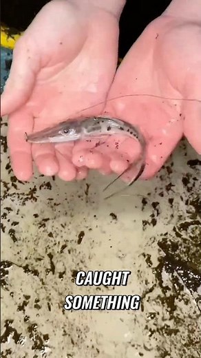 Exploring an Abandoned Pool FILLED with Monsters! #fish #abandoned #animals #alligator #fishing