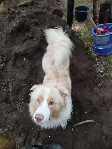 4 Rocket Mass Heater Building process (selfmade concrete tubing)