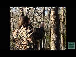 Tree Stand Safety