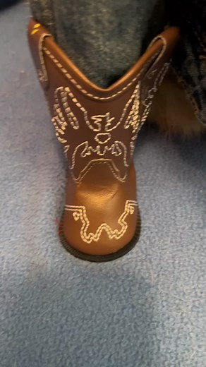 August 15th- I Love Cowboys and Cowgirls Day #slydoesholidays #slyjamesthecat #fyp #cosplay #catsoftiktok #cat #cowboy #ilovecowboysandcowgirlsday