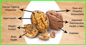 Health Benefits Of Walnuts: 20 Science-Backed Advantages