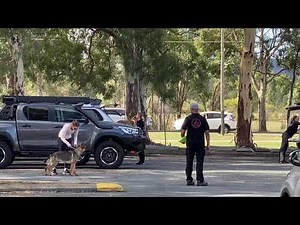 BH-VT trial traffic test Julia Kozyra and Misia