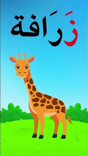 za zu zi The Arabic Alphabet with Short Vowels and Examples: The Letter Zay