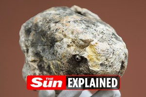 What is ambergris and what's its value?