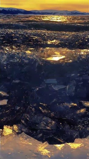 新疆赛里木湖 即将迎来最美季节 #travel #trip #xinjiang