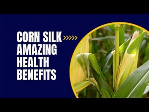 CORN SILK AMAZING HEALTH BENEFITS