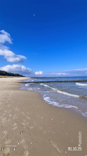 50K views · 1.6K reactions | Moin, wir nehmen euch mit an den traumhaft herbstlichen Strand  ostseeinsel-usedom.de Video: @mika_natur_pur | Ostseeinsel Usedom | Facebook
