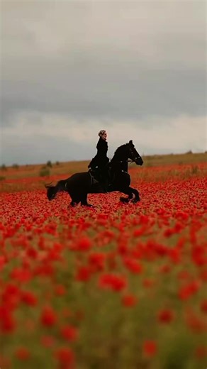Beautiful Nature and Flower Scenery