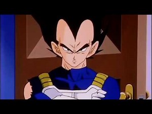 Vegeta and Trunks emerge from the Hyperbolic Time Chamber