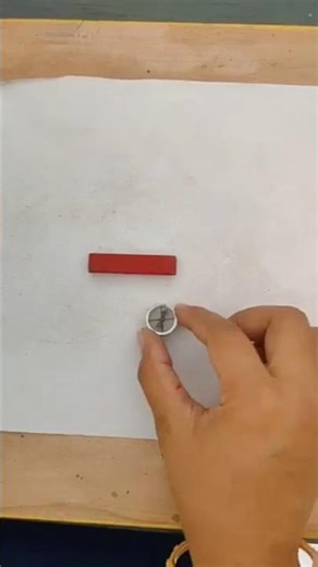 🧲 Magnetic Compass and Magnet Activity | Amazing Science Experiment!