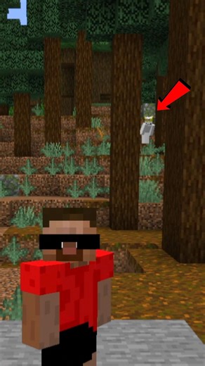 Minecraft, But i Can't See White Colour..