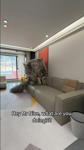 Pets Mini House Tour - Into the Mouse Hole - 2-year DIY Mini Home for Pets