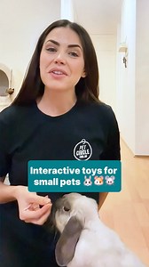 If you have a small pet, try these interactive toys recommended by our vet Dr Olivia.🐰🐹🐭 #smallpet #rabbits #bunny #guineapigs #ferrets #rats #pettoys #pettoys | Pet Circle