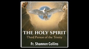 The Holy Spirit: Third Person of the Trinity by Fr. Shannon Collins - Formed