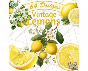 64 Png, Lemon Clipart, Vintage Lemon Botanical PNG, Citrus Fruit Clip Art, Printable Lemon Illustrations, Lemon Blossom PNG, Kitchen Decor - Etsy