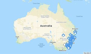 Australia: Rescuers try to save animals caught in bushfires