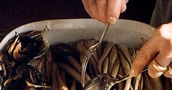 Baked Radicchio Tardivo di Treviso