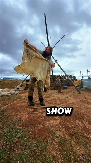 Effective Techniques for Stretching Deer Hides