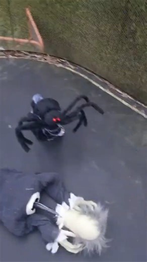 Ling gang guli peak part 2 🥹✌️