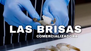 30K views · 88 reactions |  퐏퐞퐝퐢퐝퐨퐬 퐇퐚퐳 퐂퐥퐢퐜 퐀퐪퐮í https://bit.ly/2HnJeY6  UBICACION... Google Maps https://g.page/pesymarlasbrisas Sitio web https://www.pesymarlasbrisas.com | Comercializadora de Pescados y Mariscos Las Brisas | Facebook