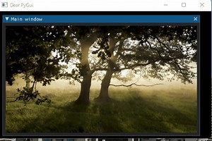 Dear PyGuiとOpenCVを組み合わせて動画再生アプリを作成してみる - Elsaの技術日記(徒然なるままに)