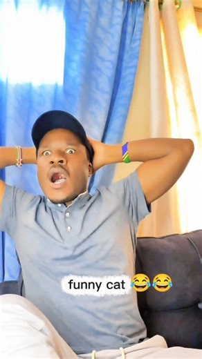 1.4M views · 34K reactions | Funny cat  | Milton Matini | Facebook