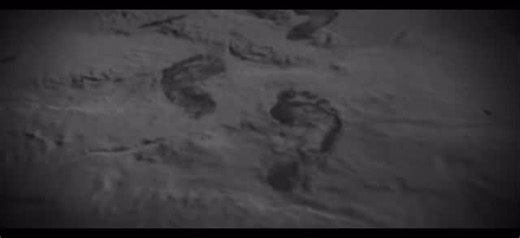 Du film à la réalité, Nous nous serons rester humains #hyundai#robot#voitures#IA#motorsportioniqtucsonkonagaragepouget | Garage Pouget Hyundai