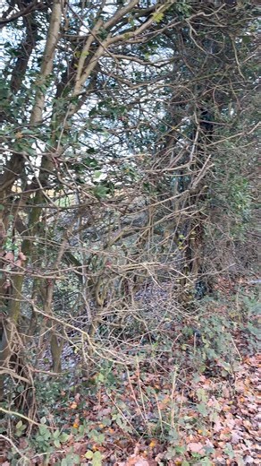 2.7K views · 43 reactions | We get a lot of vans through the work...