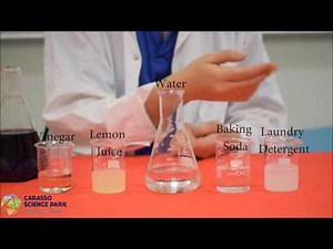 Measuring pH in Foods Experiment