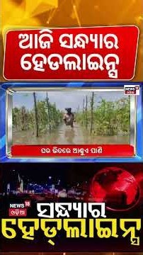 ଆଜି ସନ୍ଧ୍ୟାର ହେଡଲାଇନ୍ସ | 7PM Headlines | Odisha Flood | CM Mohan Majhi | Crime News | Odia News