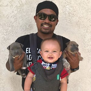 28M views · 64K reactions | When these pitties were in the shelter, they were labeled "aggressive" and "anxious" — but a couple who's fostered hundreds of dogs took a chance on them. Today on Pittie Nation, watch how the family's six rescue dogs welcomed their (human) baby brother Camden in the sweetest way ❤️ | Pittie Nation | Facebook