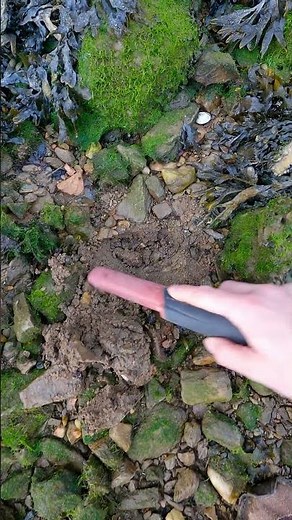 Gran Sorpresa Hallada en el Fango!