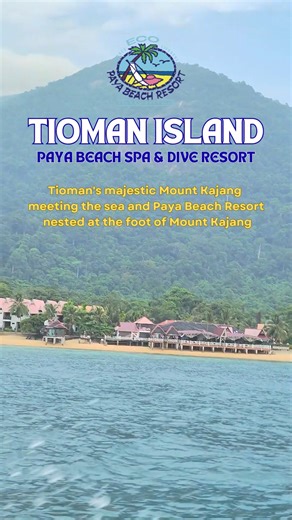 Tioman’s Mount Kajang meets the sea, with Paya Beach Resort at its foot. Enjoy serene chalets, visit the turtle hatchery, relax with a massage, or kayak in crystal-clear waters—Tioman’s beauty can’t be seen in just one day. Visit www.payabeach.com to check for room availabilities & prices. Alternatively, contact us at for enquiry: 📧 : sales@payabeach.com Whatsapp: 60186608081 #malaysia #tioman #tiomanisland #vacation #trip #candlelight #getaway #resort #holiday #sea #nature #payabeach #payabeac