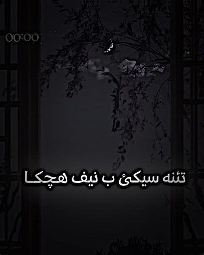 استمتع بمقاطع الفيديو الجديدة