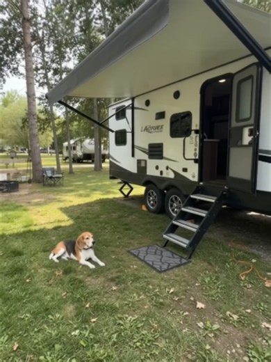 Our RV awning just became an extra outdoor room! 🔗 Link in the Bio!! #rvlife #rvcamping #RVAwning #CampingSetup #RVAccessories #rvliving
