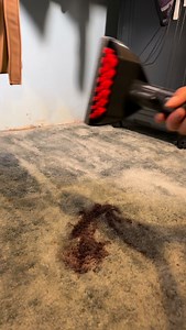 $1000 vs $20 carpet cleaner #carpetcleaner #cleaning #cleaning | Quick’n Brite All Purpose Cleaner