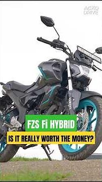 Should You Buy the FZS - Fi Hybrid?