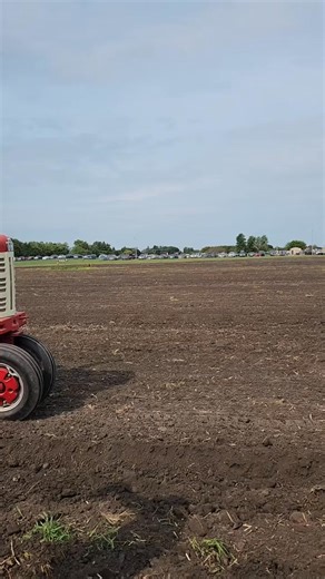 80K views · 804 reactions | Farmall Gorgeous Wow! | Farmall Tractors | Facebook