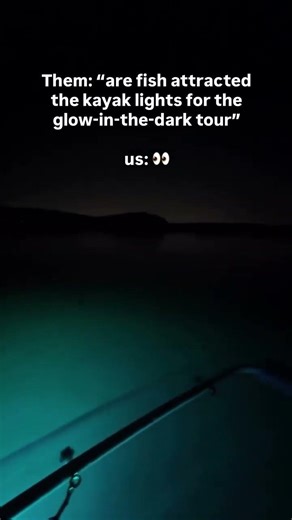 Experience wild Florida like never before in Fort Pierce with a clear kayak glow tour! ⭐️