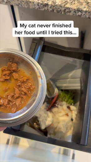 Did you know: 95% of cat parents see incredible health changes after switching to KatKin? 樂 From less mess in the litter tray to improved appetite and softer, thicker fur. Because our real meat recipes help cats thrive. No compromises. Sign up today + get your two-week trial box of fresh cat food. | KatKin | Facebook