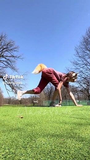Majestic Tiger Running in the Wild | Quadrobist Jumping | Therian Furry Video