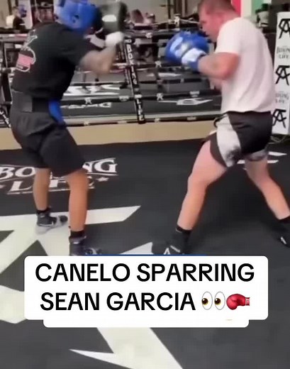 Canelo Sparring Sean Garcia: Throwback Boxing Session