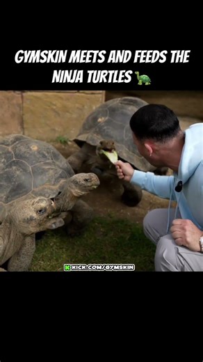 GYMSKIN MEETS AND FEEDS THE NINJA TURTLES #gymskin #funny #turtles
